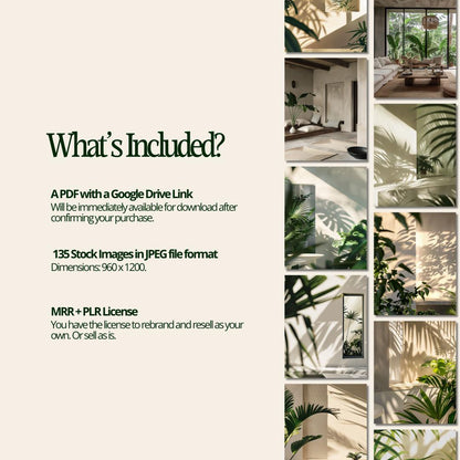 Green Leaves Aesthetic Stock Images